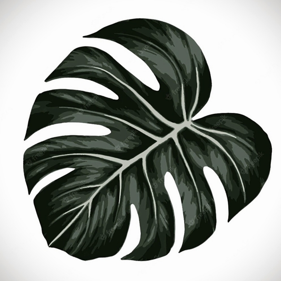 monstera_mash